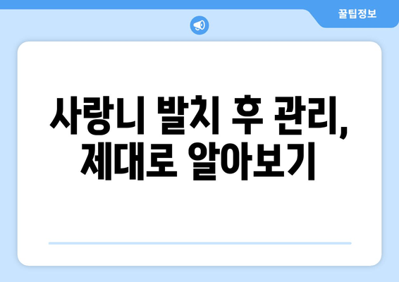 가평 사랑니 발치, 망설이시나요? | 치과 선택부터 비용까지, 궁금한 모든 것