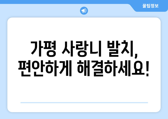 가평 사랑니 발치, 망설이시나요? | 치과 선택부터 비용까지, 궁금한 모든 것