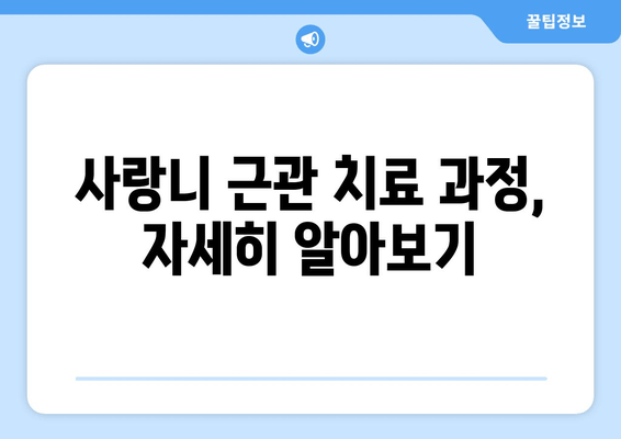 사랑니 근관 치료 비용, 보험 적용 범위는? | 치료 과정, 주의 사항, 가격 정보