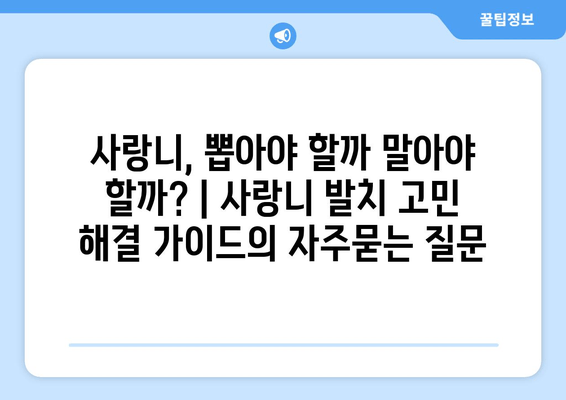 사랑니, 뽑아야 할까 말아야 할까? | 사랑니 발치 고민 해결 가이드