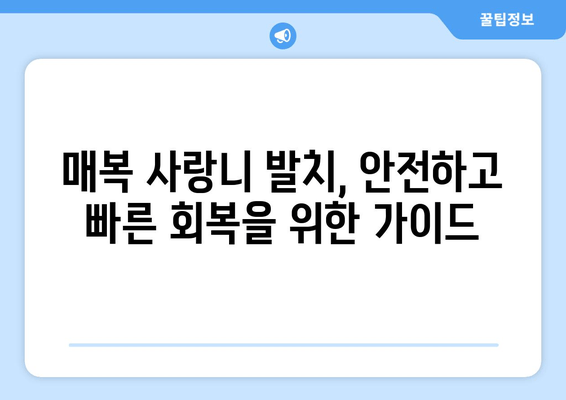 부산 매복 사랑니 발치, 안심 가이드| 과정부터 주의사항까지 | 사랑니 발치, 부산 치과, 통증 관리, 회복 가이드