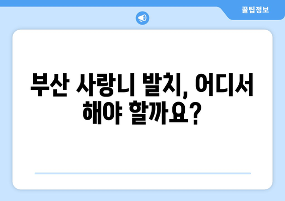 부산 사랑니 발치, 안심하고 맡길 수 있는 치과 찾기 | 매복 사랑니, 발치 전문, 통증 최소화