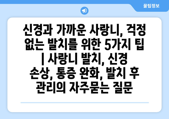 신경과 가까운 사랑니, 걱정 없는 발치를 위한 5가지 팁 | 사랑니 발치, 신경 손상, 통증 완화, 발치 후 관리