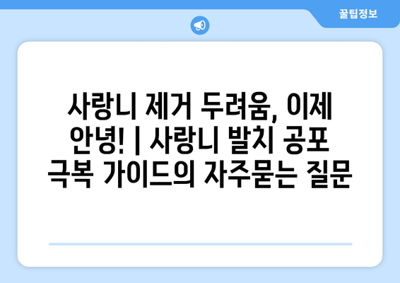 사랑니 제거 두려움, 이제 안녕! | 사랑니 발치 공포 극복 가이드