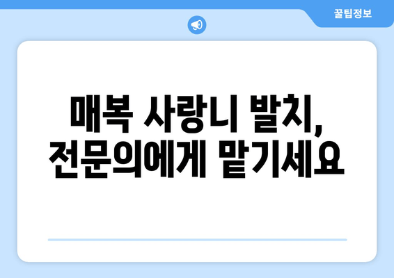 매복 사랑니, 안전하고 편안하게 발치하기| 걱정 말고 전문의에게 맡기세요 | 사랑니 발치, 매복 사랑니, 치과, 발치 과정, 안전, 통증, 회복