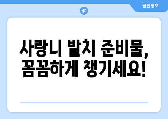 매복 사랑니 발치 전 꼭 알아야 할 5가지 필수 확인 사항 | 사랑니 발치, 주의사항, 준비물, 치과 상담