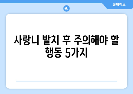 사랑니 발치 후 꼭 필요한 5가지 조치| 빠른 회복을 위한 완벽 가이드 | 사랑니, 발치, 회복, 관리, 주의사항