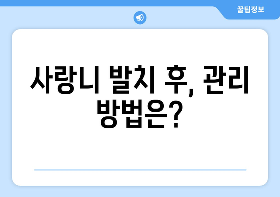 사랑니 발치, 꼭 알아야 할 필수 사항과 주의점 | 사랑니, 발치, 통증, 관리, 주의사항