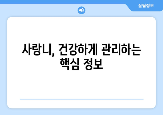 사랑니 충치, 이제 걱정 끝! 관리법과 예방책 완벽 가이드 | 사랑니, 충치, 치료, 예방