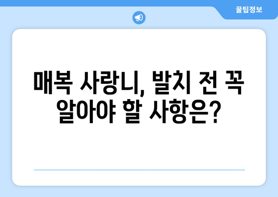 안산 사랑니 발치 전 꼭 확인해야 할 8가지 체크리스트 | 매복 사랑니, 안산 치과, 발치 준비, 주의 사항