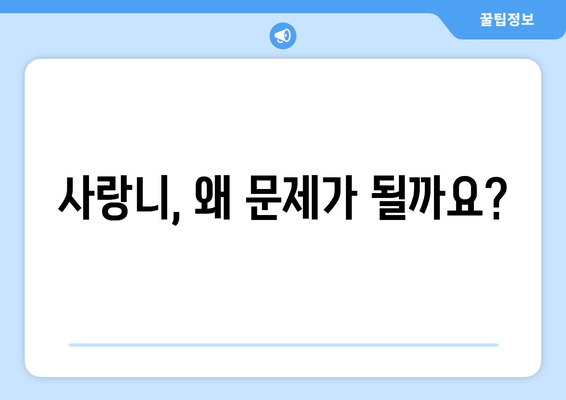 사랑니, 비정상적으로 자랐을 때? 치과에서 어떻게 대처해야 할까요? | 사랑니 발치, 사랑니 통증, 사랑니 관리