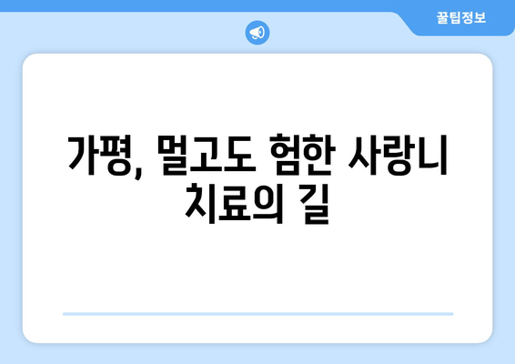 가평 지역 사랑니 치과 방문 어려움의 주요 원인과 해결 방안 | 사랑니, 치과, 가평, 교통, 진료, 정보