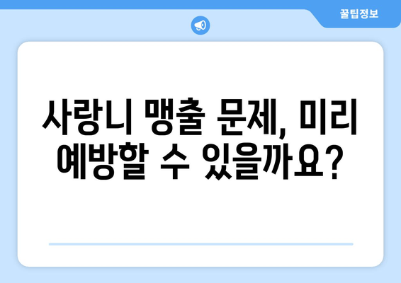 사랑니 맹출이 불완전할 때, 어떻게 해야 할까요? | 사랑니, 맹출, 불완전, 치과, 대처법, 관리