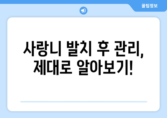 일산 사랑니 발치, 안전하고 편안하게! 믿을 수 있는 치과 선택 가이드 | 매복 사랑니, 발치, 치과 추천, 일산