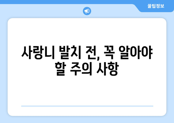 매복 사랑니 발치 전 꼭 알아야 할 5가지 필수 확인 사항 | 사랑니 발치, 주의사항, 준비물, 치과 상담