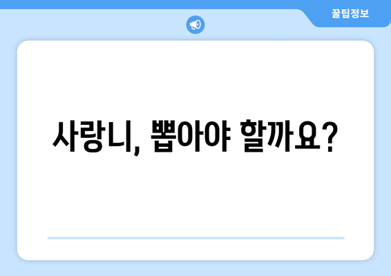 사랑니 발치, 언제나 필요할까요? | 사랑니 통증, 사랑니 발치 시기, 사랑니 관리