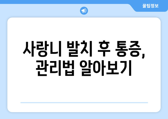 사랑니 발치, 꼭 알아야 할 정보| 과정부터 관리까지 완벽 가이드 | 사랑니, 발치, 통증, 회복, 주의사항, 비용