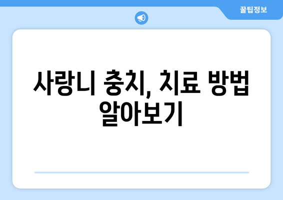 사랑니 충치, 이제 걱정 끝! 관리법과 예방책 완벽 가이드 | 사랑니, 충치, 치료, 예방