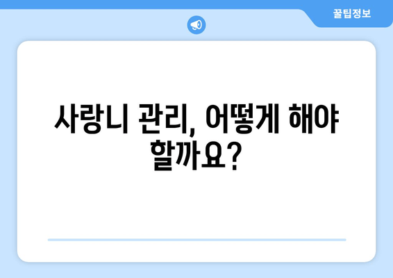 사랑니, 뽑아야 할까요? 말아야 할까요? | 사랑니 발치, 사랑니 치료, 사랑니 통증, 사랑니 관리