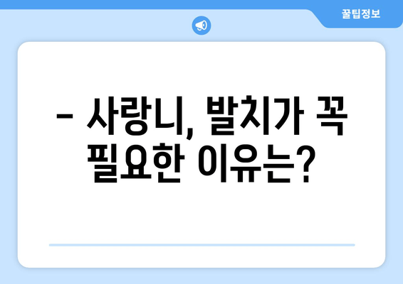 안산 사랑니 통증, 더 악화되기 전에 해결하세요! | 사랑니 발치, 치과 추천, 통증 완화 팁