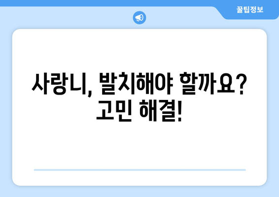 사랑니 발치 고민 끝! 나에게 딱 맞는 치과 찾는 방법 | 사랑니 치과 비교, 추천, 후기, 비용