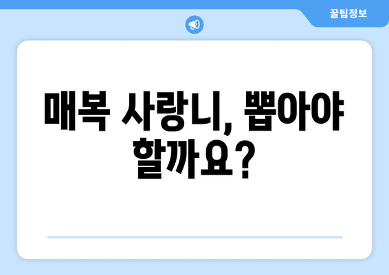 매복 사랑니 치료 전 꼭 알아야 할 5가지 필수 사항 | 사랑니 발치, 통증, 부작용, 치료 과정, 주의 사항