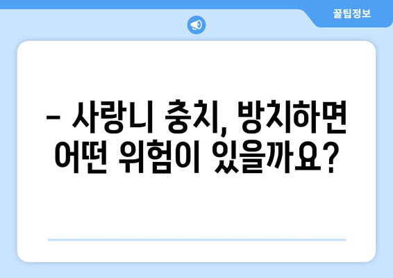 사랑니 충치, 이대로 방치하면 위험해요! 효과적인 정기 치과 검진으로 예방하세요 | 사랑니, 충치, 치과 검진, 구강 건강