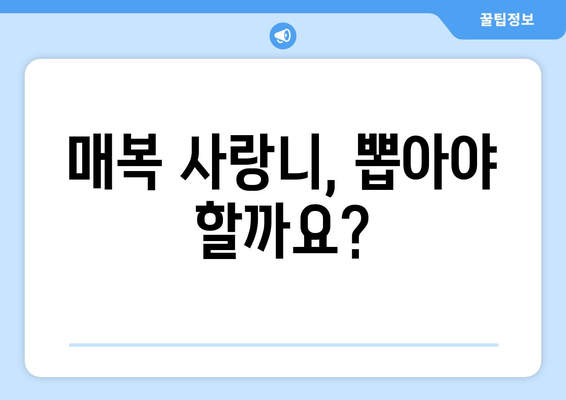 매복 사랑니, 치료 전 꼭 알아야 할 5가지 필수 사항 | 사랑니 발치, 매복 사랑니 증상, 치료 방법, 주의 사항