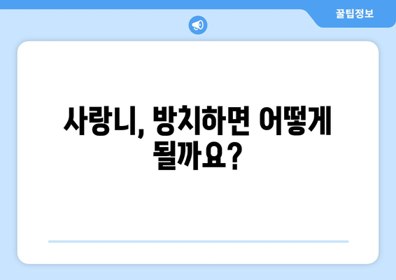 화곡동 사랑니, 뽑아야 할까요? | 사랑니 발치, 치료 필요성, 화곡동 치과 추천