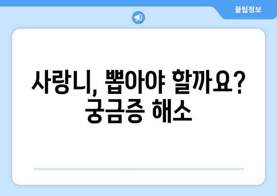 사랑니 통증 이겨내기| 두려움 극복 & 효과적인 관리법 | 사랑니, 통증 완화, 치과 상담, 자가 관리