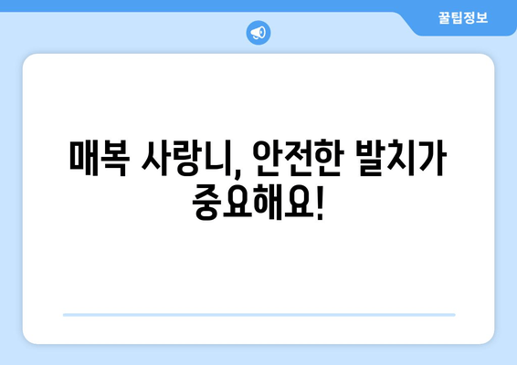 부산 사랑니 발치, 안전하고 믿을 수 있는 치과 찾기 | 매복 사랑니, 발치, 치과 추천, 부산