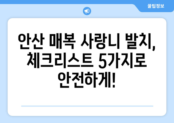 안산 매복 사랑니 발치, 전문성 있는 치과 선택 가이드| 체크리스트 5가지 | 안산 치과, 사랑니 발치, 매복 사랑니, 치과 추천