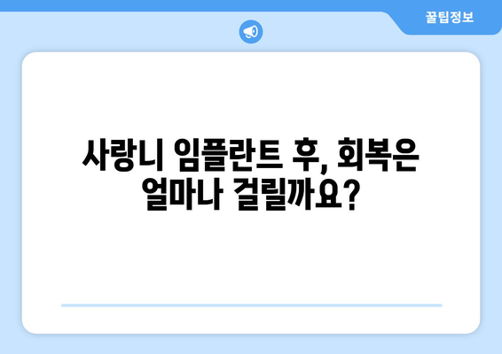 사랑니 임플란트 시술| 무엇을 기대해야 할까요? | 과정, 회복, 주의사항, 비용