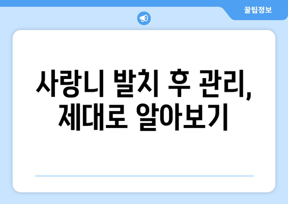 화곡동 사랑니, 뽑아야 할까요? 고민 해결 가이드 | 사랑니 통증, 발치, 치과 추천