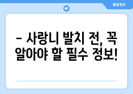 사랑니 발치, 신경 손상과 골절 위험 주의! | 사랑니 발치 전 필수 정보, 주의 사항, 후기