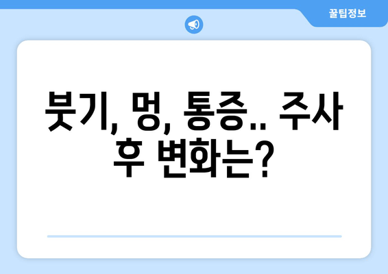 허벅지 지방 분해 주사 4회차 후기| 드디어 만족스러운 변화! | 허벅지, 지방 분해 주사, 후기, 효과, 변화