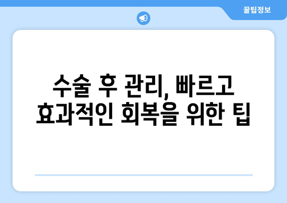 허벅지 지방흡입, 비용부터 수술 과정까지 상세 가이드 | 지방흡입, 허벅지, 비용, 수술