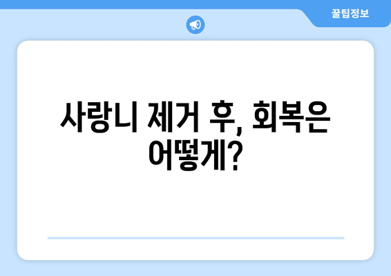 사랑니 제거, 꼭 알아야 할 5가지 정보 | 사랑니 발치, 통증, 회복, 주의사항, 비용