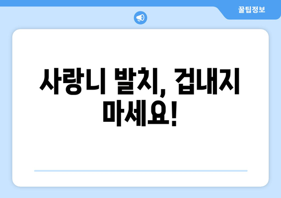 사랑니 발치 고민, 이제 그만!  | 사랑니 발치, 고민 해결 가이드, 사랑니 발치 후 관리, 사랑니 발치 비용