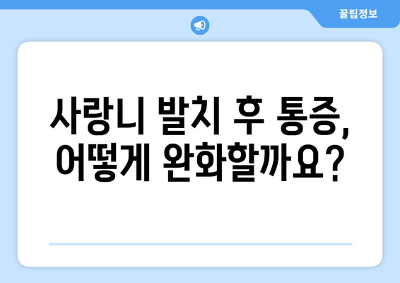 사랑니 통증, 무조건 뽑아야 할까요? | 사랑니 발치, 통증 완화, 치과 상담, 치료 방법