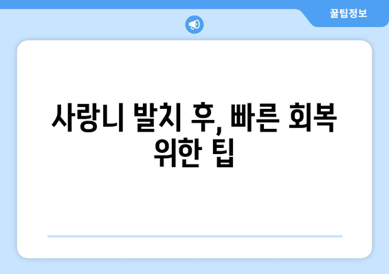 부산 사랑니 통증, 이제 두려워하지 마세요! | 사랑니 발치, 통증 완화, 극복 방법, 부산 치과 추천