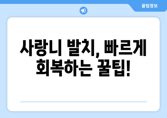 사랑니 발치, 두려워 말고 이렇게 해결하세요! | 사랑니 발치, 통증, 붓기, 회복, 팁, 주의사항