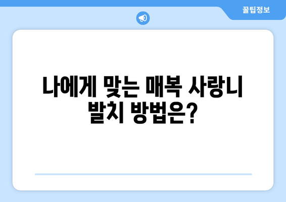 매복 사랑니 발치, 어떤 방법이 나에게 맞을까? | 매복 사랑니 발치 방법 선택 가이드, 발치 후 관리 팁