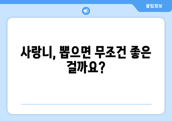 사랑니, 뽑아야 할까요? 말아야 할까요? | 사랑니 발치, 사랑니 치료, 사랑니 통증, 사랑니 관리