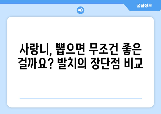 사랑니 조기 발치 고민? 꼭 알아야 할 정보 | 사랑니, 발치, 치과, 통증, 예방