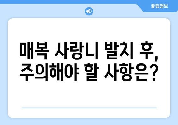 매복 사랑니 치료 전 꼭 확인해야 할 5가지 사항 | 사랑니 발치, 치과 상담, 치료 과정