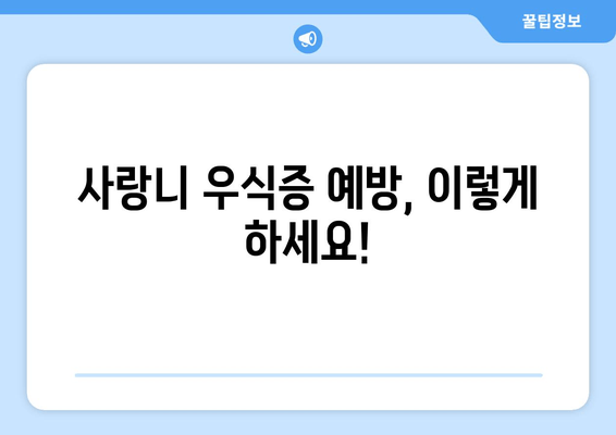 사랑니 우식증, 침묵의 위협| 예방과 관리의 완벽 가이드 | 사랑니, 우식증, 치아 건강, 치과, 구강 관리