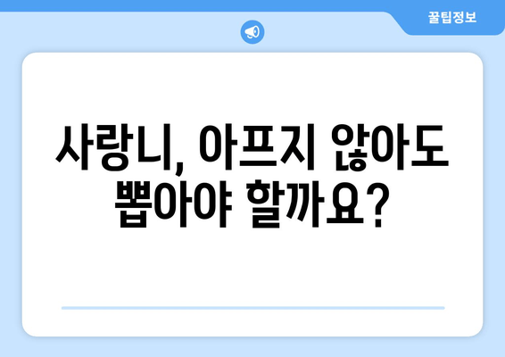통증 없어도 고민해야 할까? 예방적 사랑니 발치 고려 가이드 | 사랑니, 발치, 치과, 예방