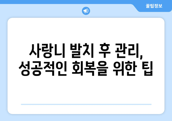 사랑니 발치, 어디서 할까? | 사랑니 치과 비교 가이드 & 최적 선택 팁
