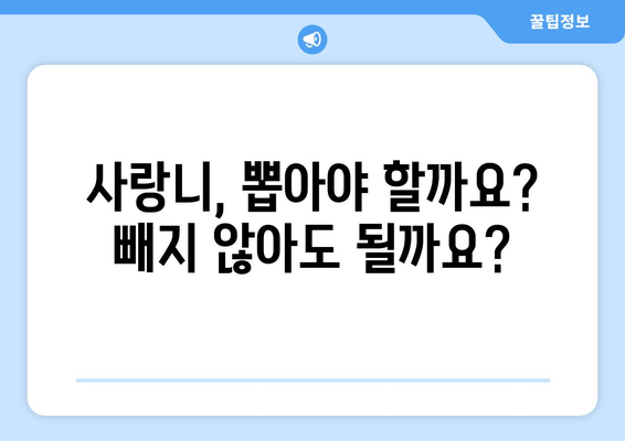 사랑니 통증, 더 악화되기 전에 해결하세요| 사랑니 발치 전 알아야 할 모든 것 | 사랑니 통증, 사랑니 발치, 치과, 치료, 정보